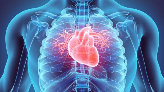 Cardiac Electrical Biomarker